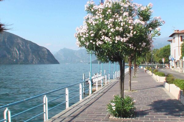 Iseo guida completa